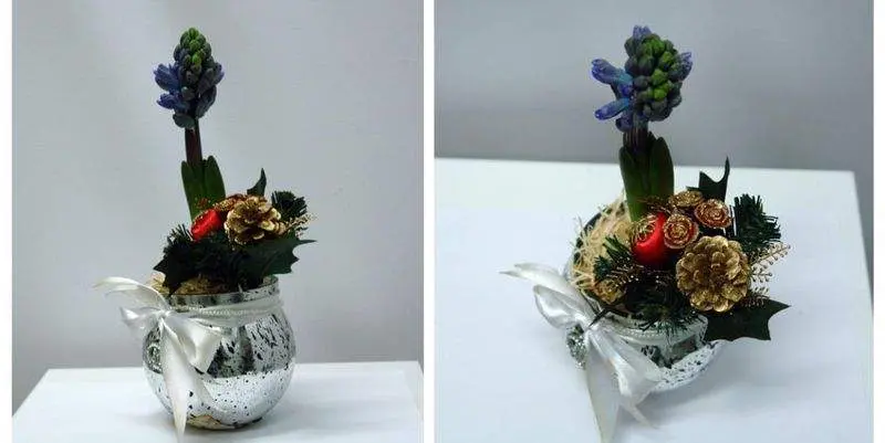 Новогодняя Композиция Гиацинт 