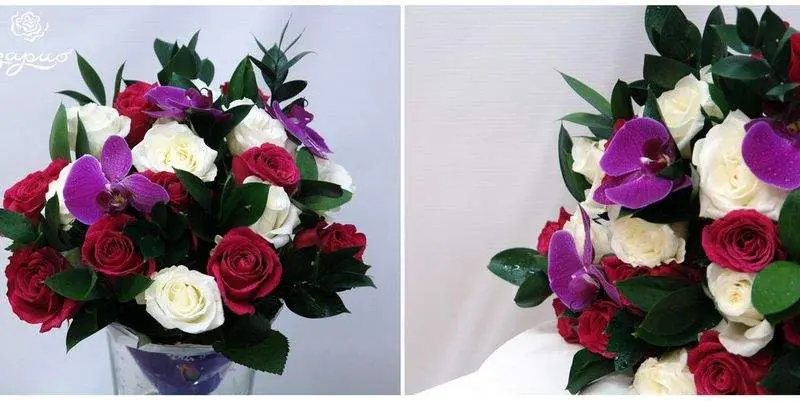 Вечерняя прогулка 